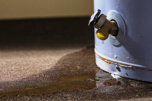 Best Mold removal after water damage  in Windber, PA
