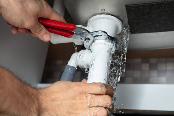 Best Local water damage restoration  in Windber, PA
