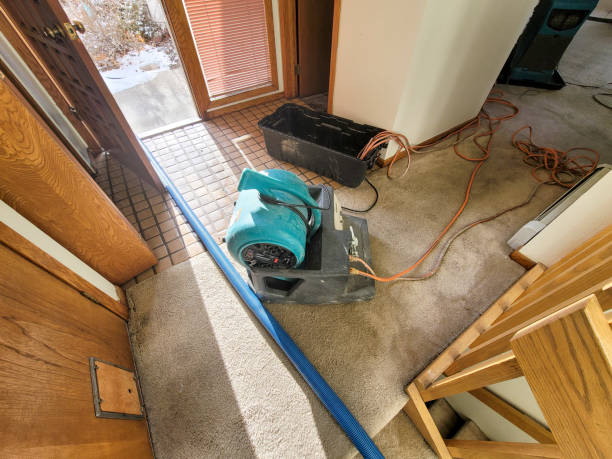 Best Flood damage cleanup  in Windber, PA