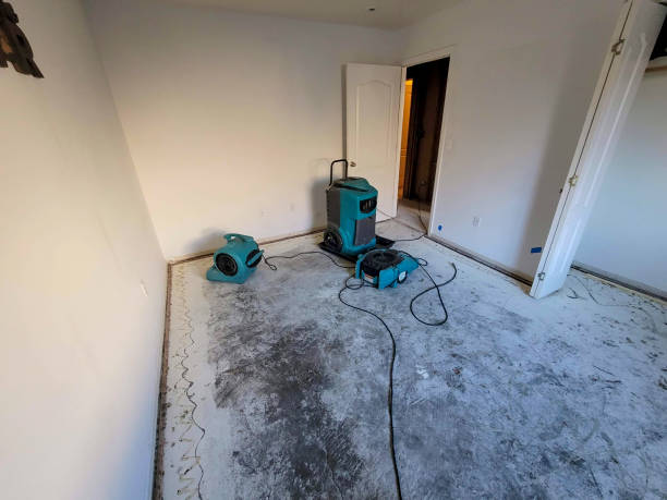 Best Fire Damage Restoration  in Windber, PA