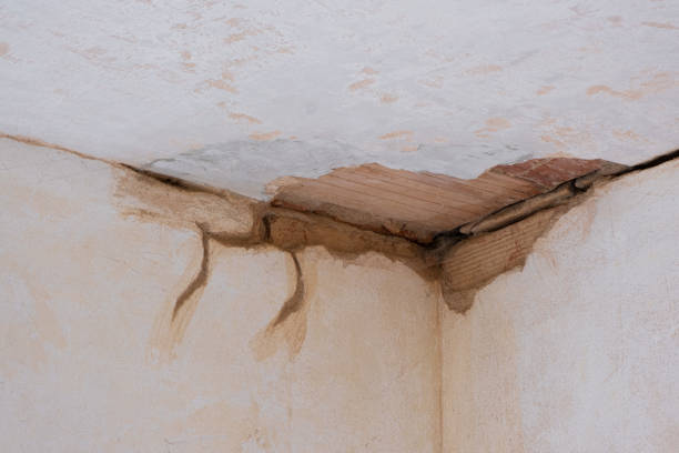 Best Local water damage restoration  in Windber, PA
