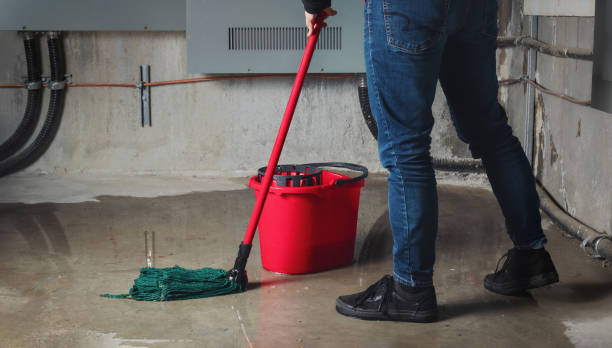 Best Water damage restoration cost  in Windber, PA