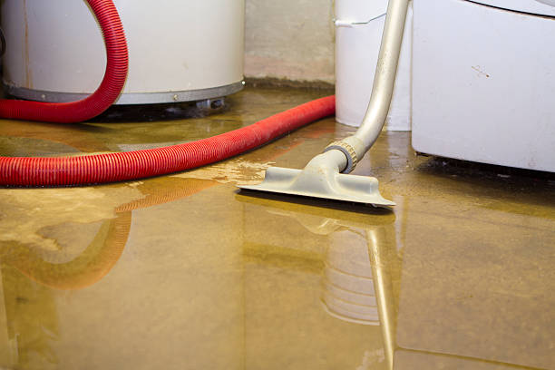 Best Water damage restoration insurance claims  in Windber, PA
