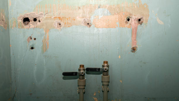 Best Water damage contractors near me  in Windber, PA