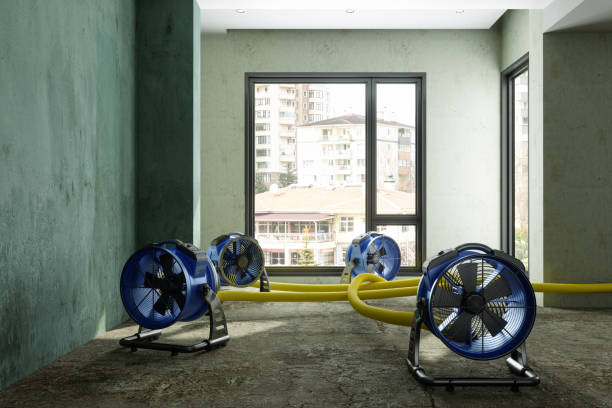Best Flood restoration services  in Windber, PA